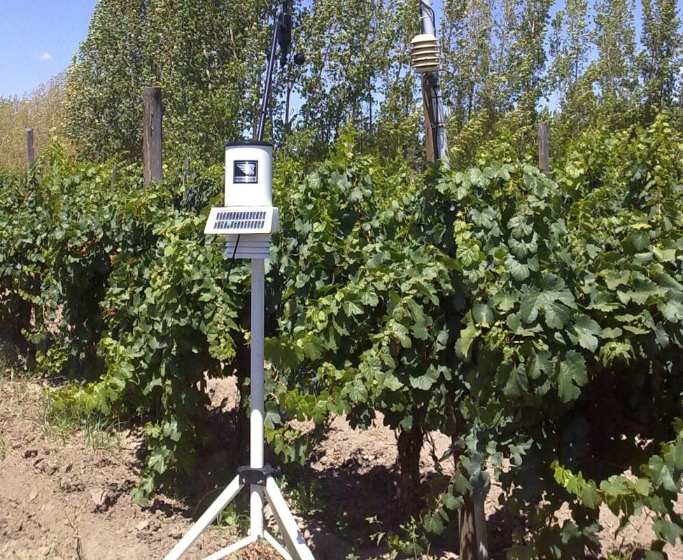 estacion meteorologica Pegasus en plantación de Vid